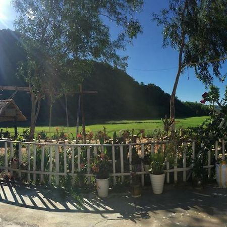 Phong Nha Rice Field Homestay Exterior foto