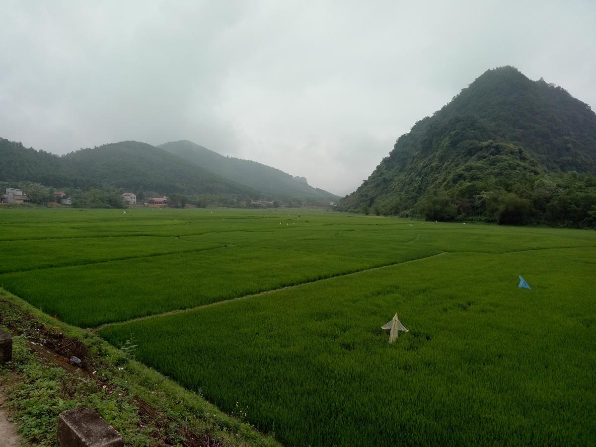 Phong Nha Rice Field Homestay Exterior foto