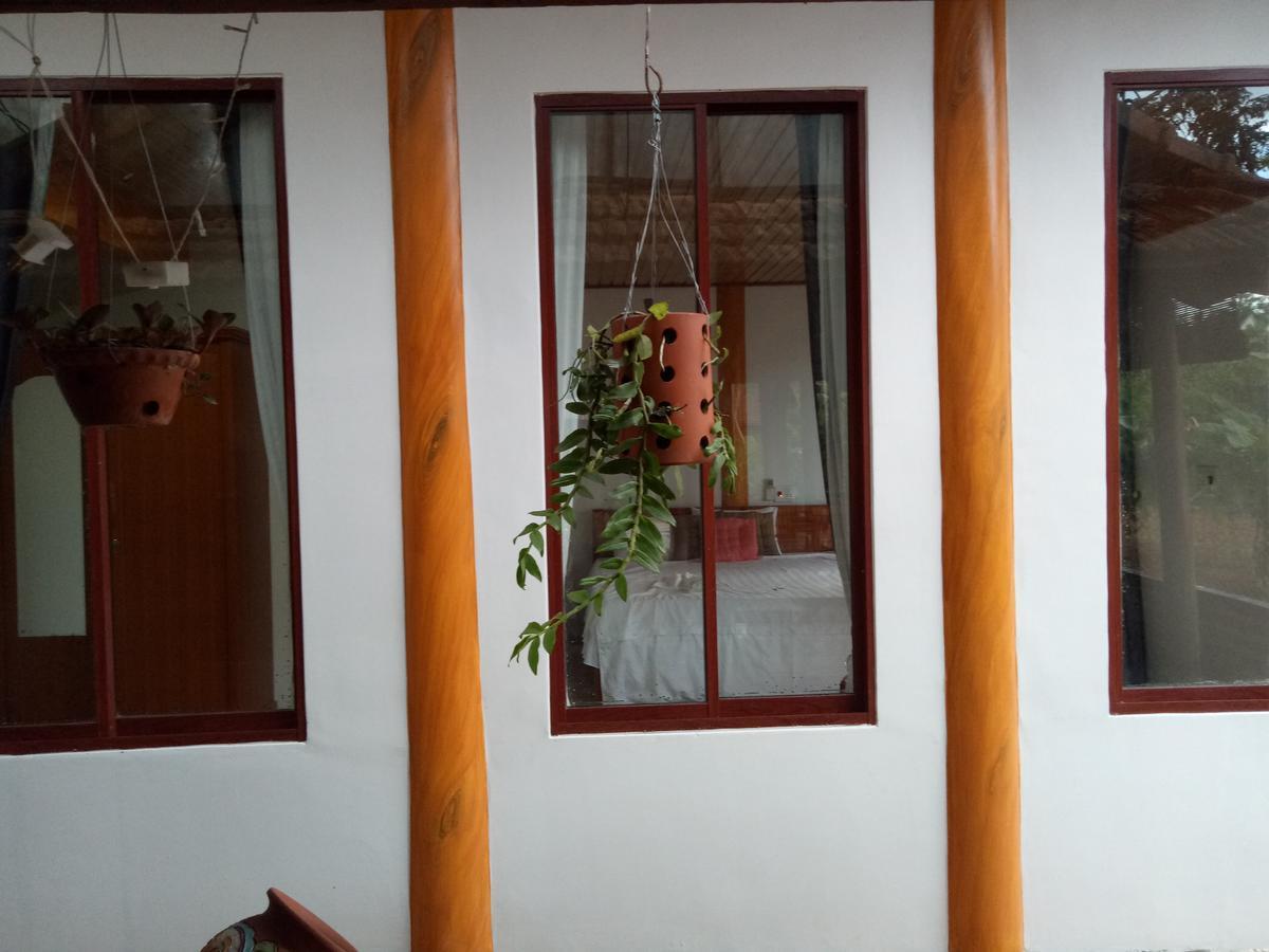 Phong Nha Rice Field Homestay Exterior foto