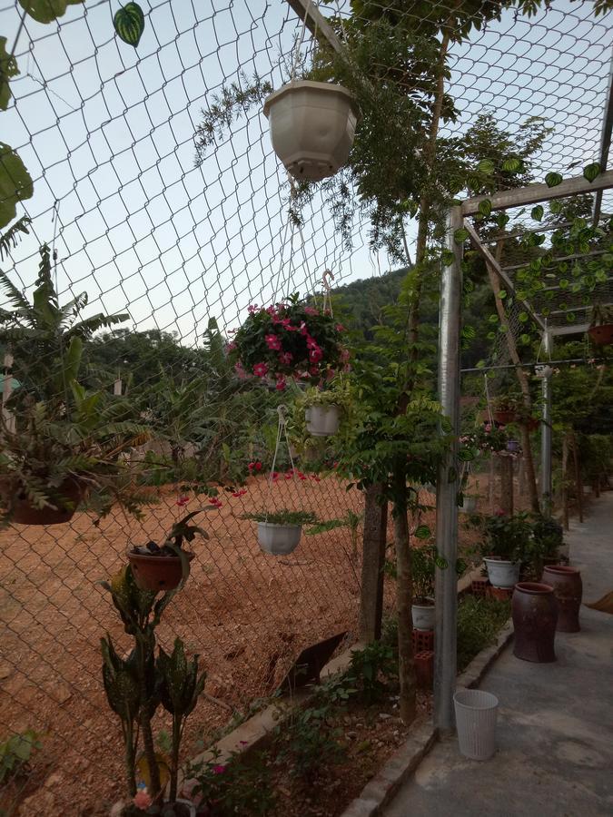 Phong Nha Rice Field Homestay Exterior foto