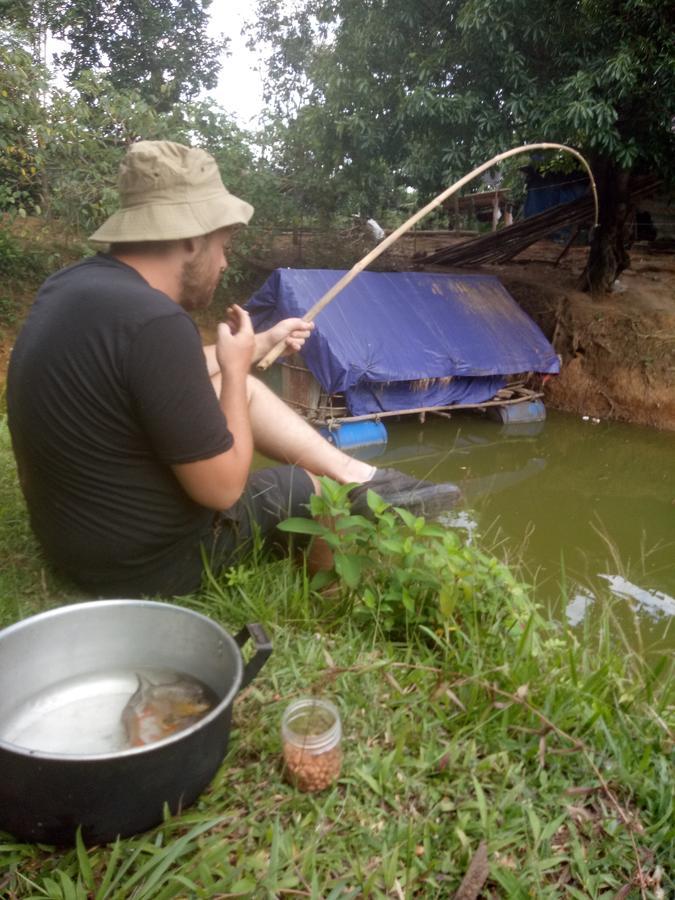 Phong Nha Rice Field Homestay Exterior foto