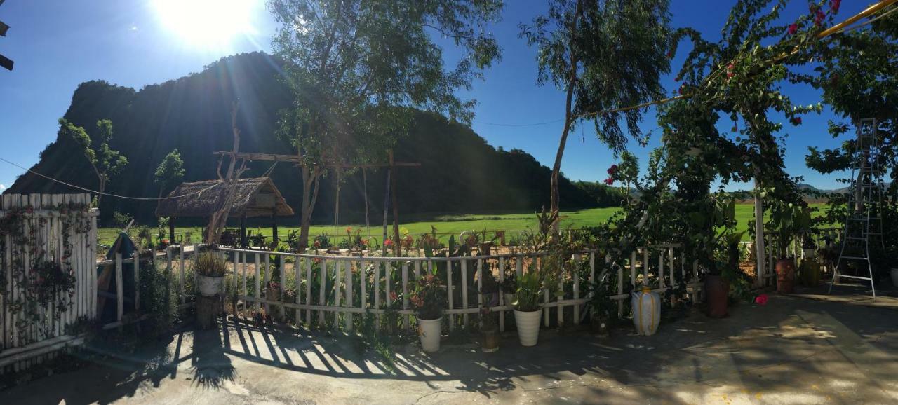 Phong Nha Rice Field Homestay Exterior foto